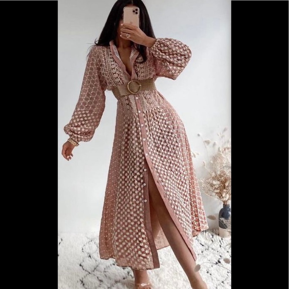 BLOGGER FAV Zara Dress embroidered midi dress - Picture 1 of 5